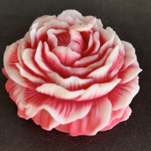 Bougie pivoine rose et blanche en cire, vue de côté, montrant les pétales en relief et la mèche en coton, sur fond noir.