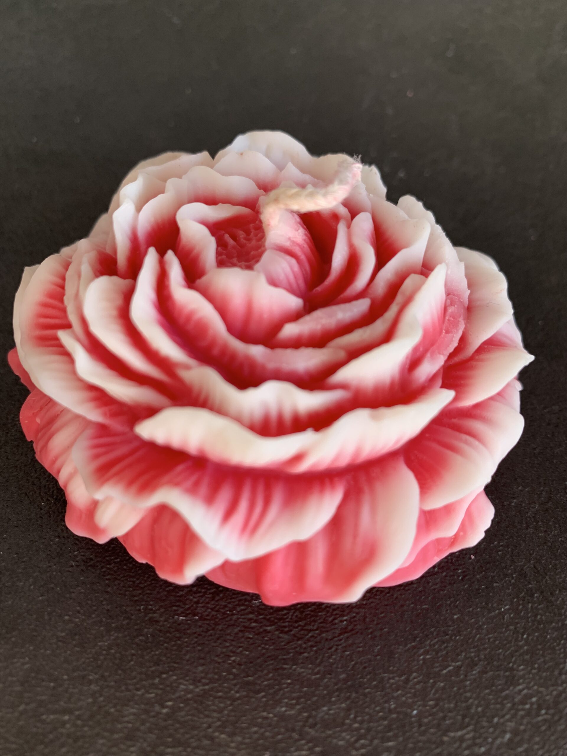 Bougie pivoine rose et blanche en cire, vue de côté, montrant les pétales en relief et la mèche en coton, sur fond noir.